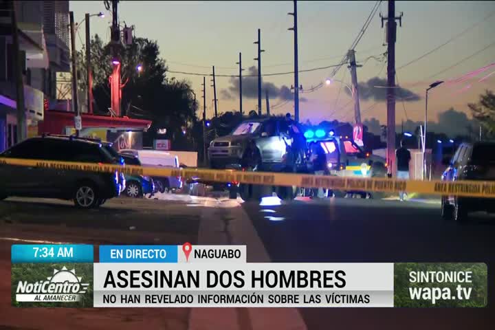 Video: Tiroteo frente a Pizzería de Naguabo deja dos muertos