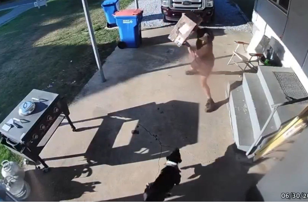 Video:Conductor de UPS lanza una caja de 30 libras contra un perro que corre hacia él a toda velocidad, luego intenta pelear con el dueño