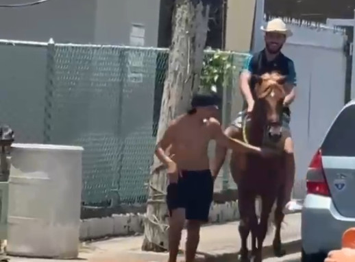 Video: Cuando un Boricua Ronca de que sabe correr caballo y le pasa esto