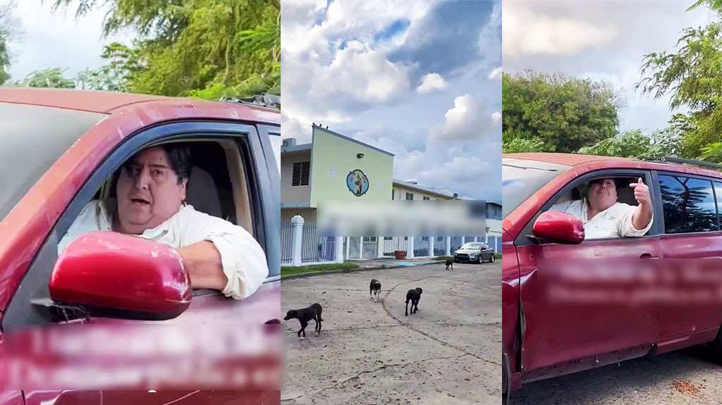 Video: Captado en video: hombre lanza pirotecnia a perros realengos y destruye la comida que les dejan voluntarios en Ponce