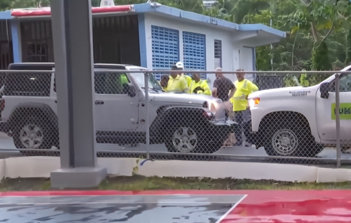 Video: Ataque de abejas en Maunabo deja un empleado de LUMA muerto y otro herido