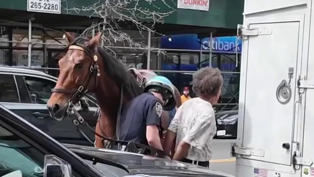 Video: Persecución policiaca a Caballo en New York