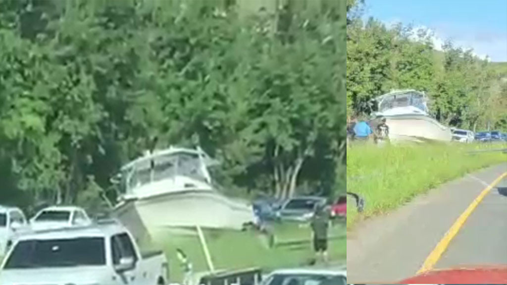 Video: Se le cayó el bote en medio de carretera en Peñuelas
