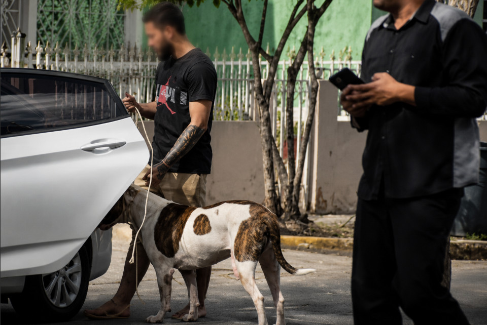 Video: Perro Pit Bull ataca a mujer y a su hija en Carolina