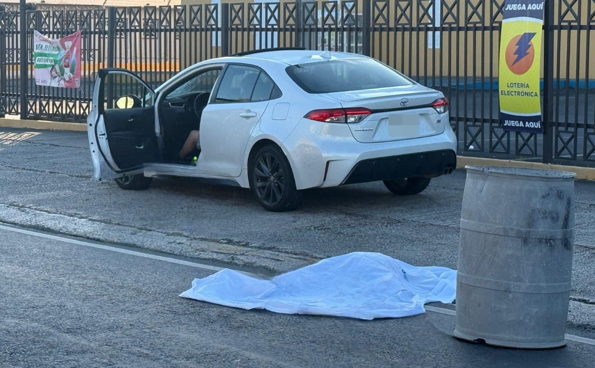 Video: Arrollan fatalmente a un peatón en la carretera PR-865, en Toa Baja