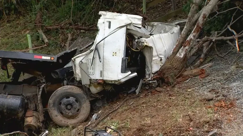 Video: Conductor de camión muere tras caer por barranco en Cayey