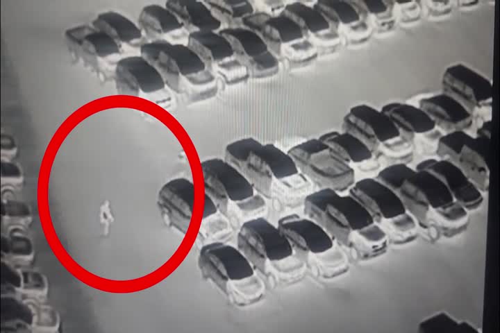 Videos que muestran a "Cacos" de Aibonito que vinieron a robar en los carros del Hiram Bithorn