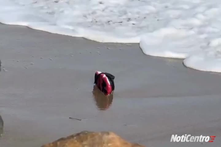 Video: Muere una jovencita de 20 años luego que un menor chocara con las piedras en una playa de Dorado