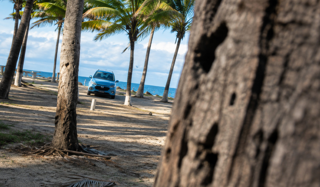 Video: Mangan a pareja Dándolo todo sobre la mesa en una playa de PR