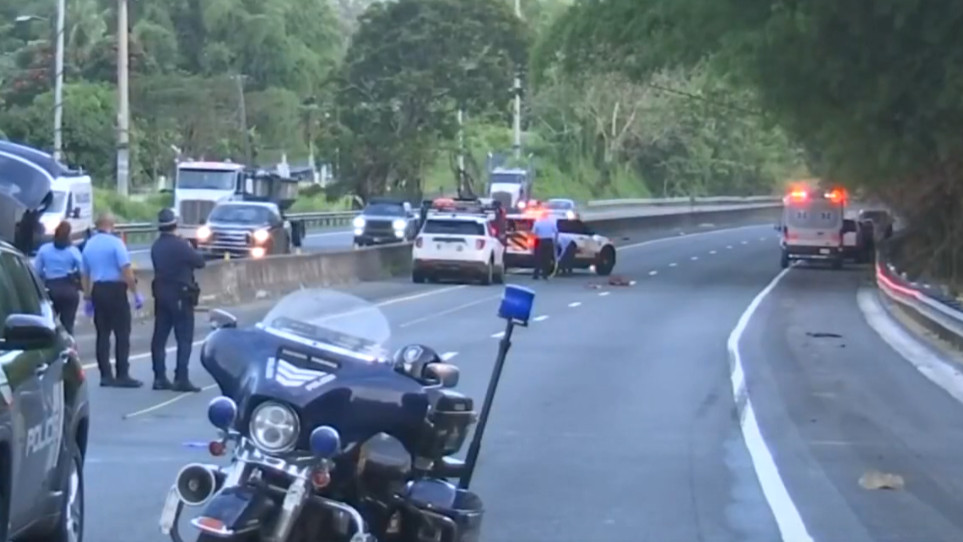 Video: Peatón muere desmembrado tras ser arrollado por varios autos