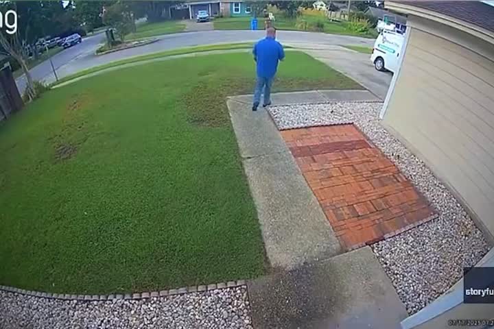 Video: Salía para el trabajo pero vio algo que lo hizo cambiar de opinión, miren que fue