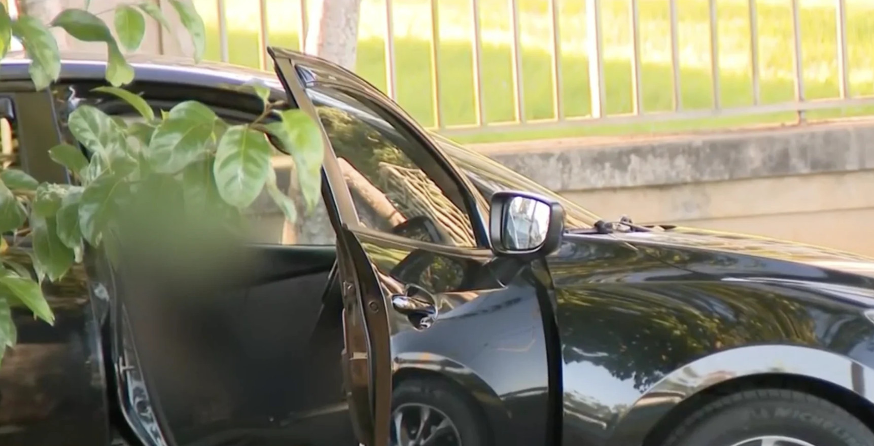 Video: Asesinan a mujer en Cabo Rojo y arrestan a su pareja