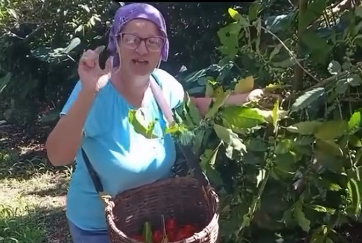 Video: Doñita de campo le envía mensaje a todos los que van al concierto de Bad Bunny