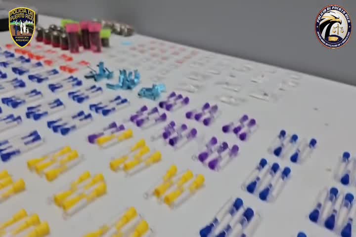 Video: Arrestan a gente que se adueñaban de apartamentos en caseríos