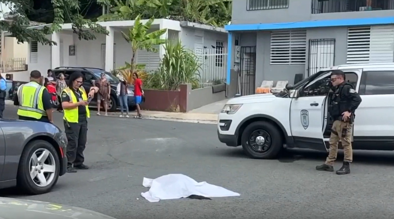 Video: Radicarán cargos contra hombre que mató a su perro con un andador en Bayamón
