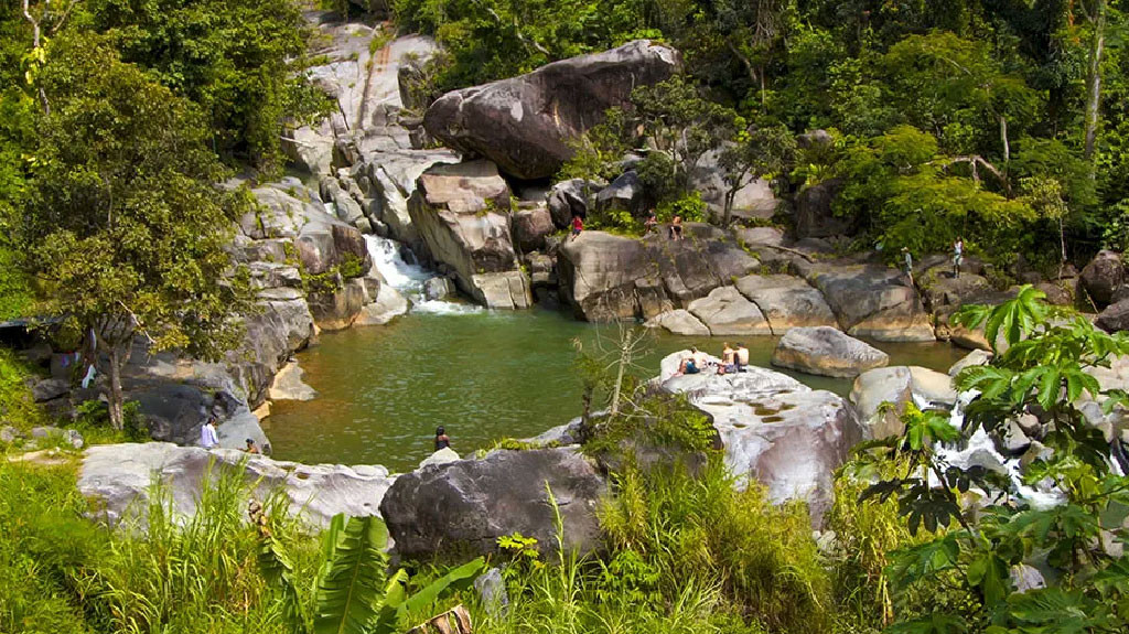 Video:Aparecen con vida personas que eran buscadas en río en Naguabo