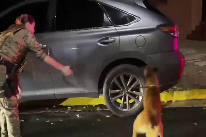 Video del momento en que can de la policía alerta por arma de fuego en un carro dentro de caserío en San Juan