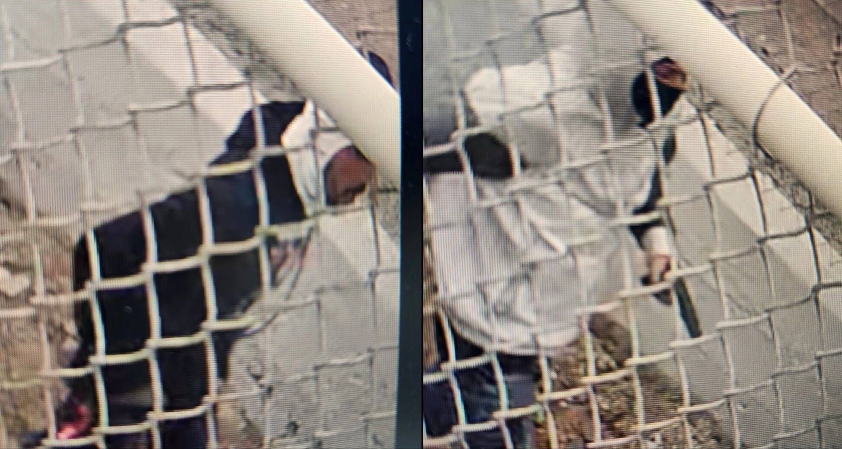 Video:Buscan a dos sospechosos de asesinar a hombre en playa de Vega Alta