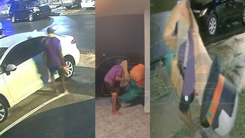 Video: "Caco"es captado robándose inflables de Navidad en Carolina