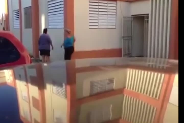 Video: En algún caserío de PR las Doñas se empaquetan a las "gasnatá," tempranito en la mañana