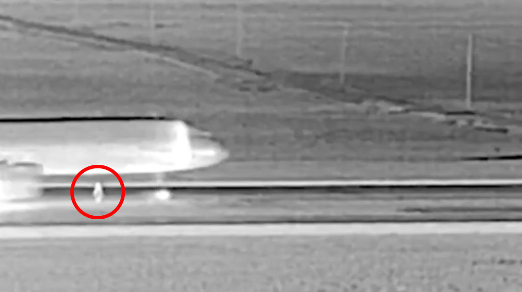 Video: Revelan video completo del momento en que jet de Frontier golpeó a una persona en la pista