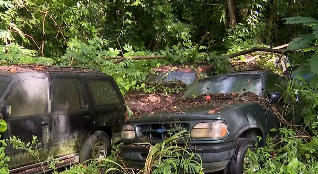Video: Intervienen taller de mecánica clandestino en Canóvanas, dueño alega trabas para obtener permisos