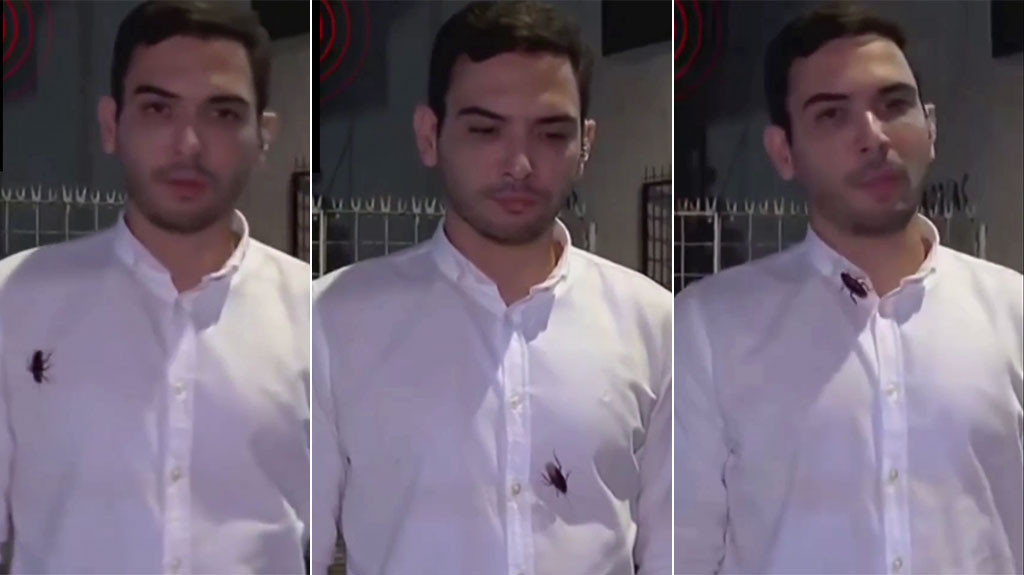 Video: Reportero transmitía en vivo mientras una cucaracha se paseaba por su camisa