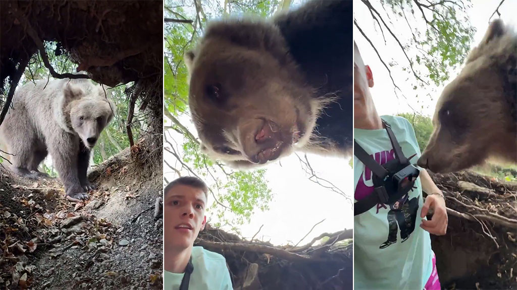 VIDEO: Bloguero se mete en la madriguera de un oso y el animal lo sorprende