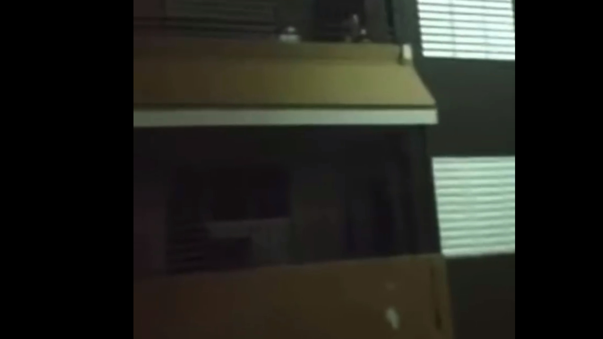 Video viral: Así es el día normal de unas Yales en un caserío de PR