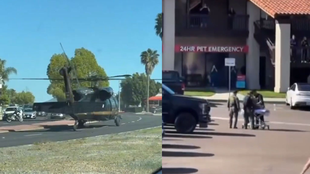 Video: Helicóptero de Border Patrol aterriza en medio de la carretera en California para salvar la vida de un perro K-9 que fue mordido por una serpiente