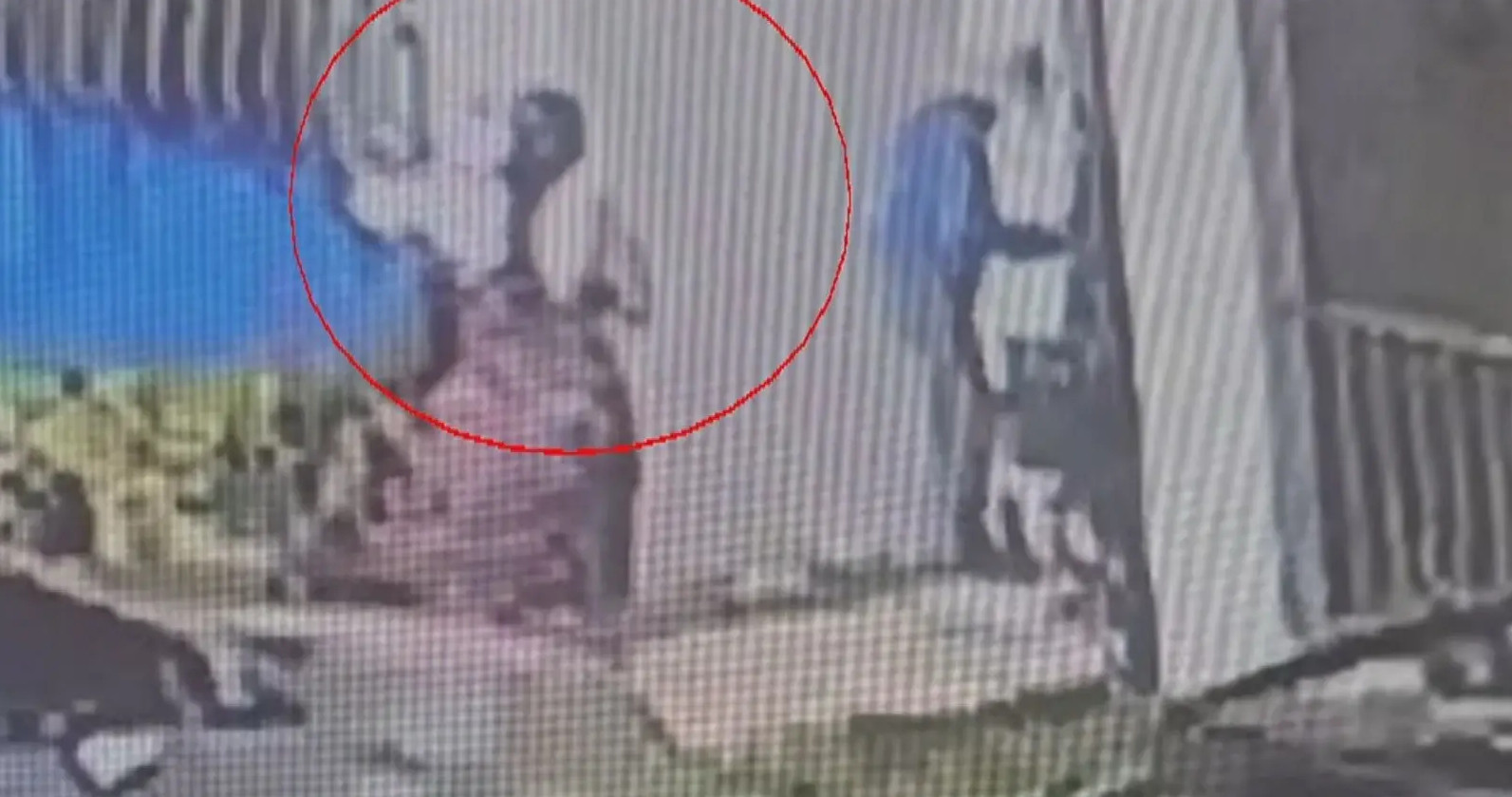 Video: Captado en video mujer agrediendo a su madre en Trujillo Alto