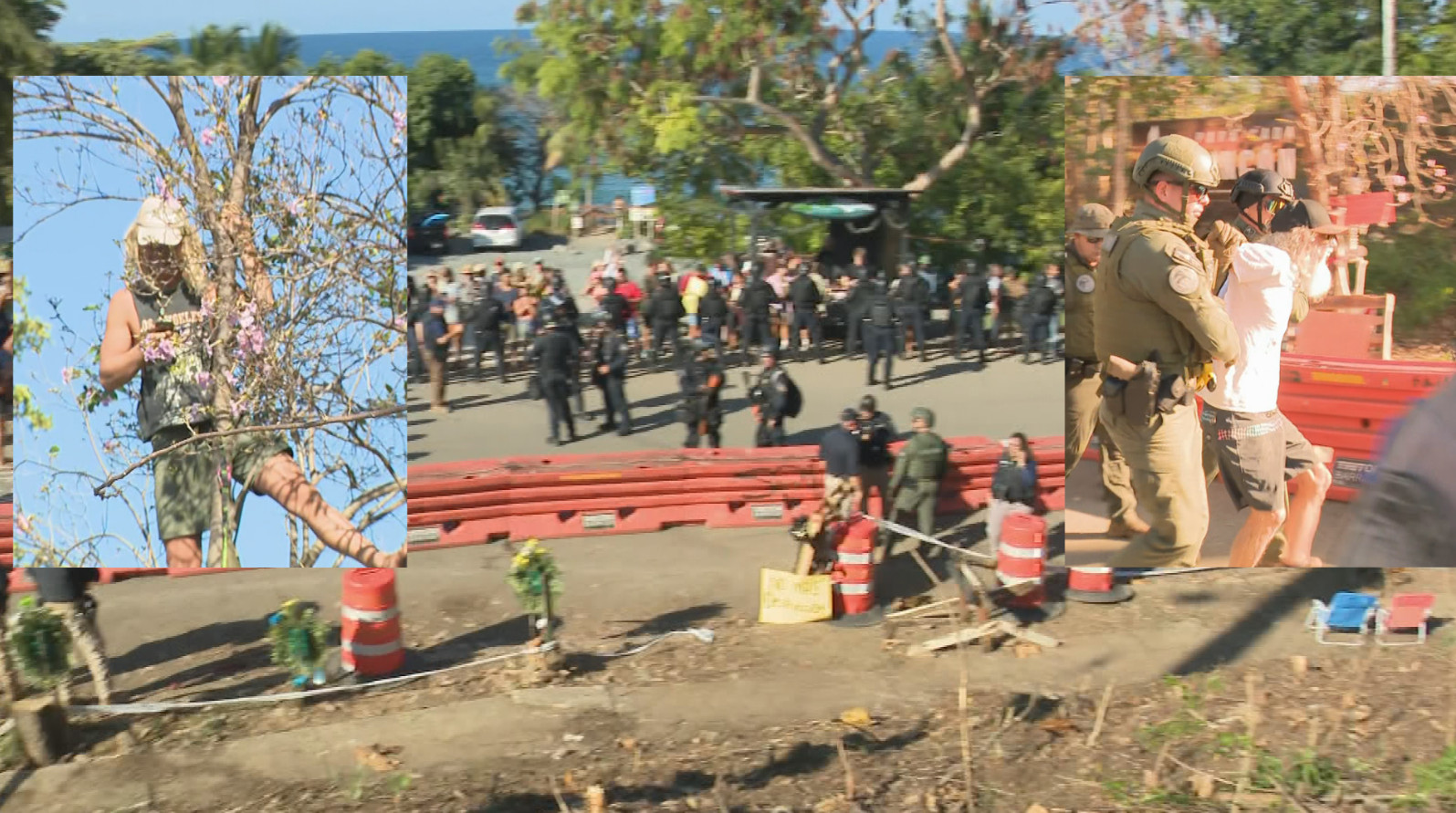 Video: Forcejeo y arrestos en protesta contra tala de árboles y paseo en Rincón