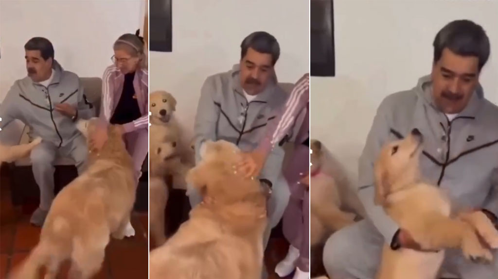 Video: Hijo de Maduro publica video de su padre jugando con sus perros el mismo día que lo capturaron
