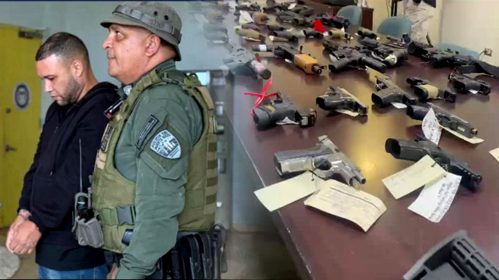 Video: Arsenal de armas confiscadas en operativo “Alto Perfil Zona Sur”