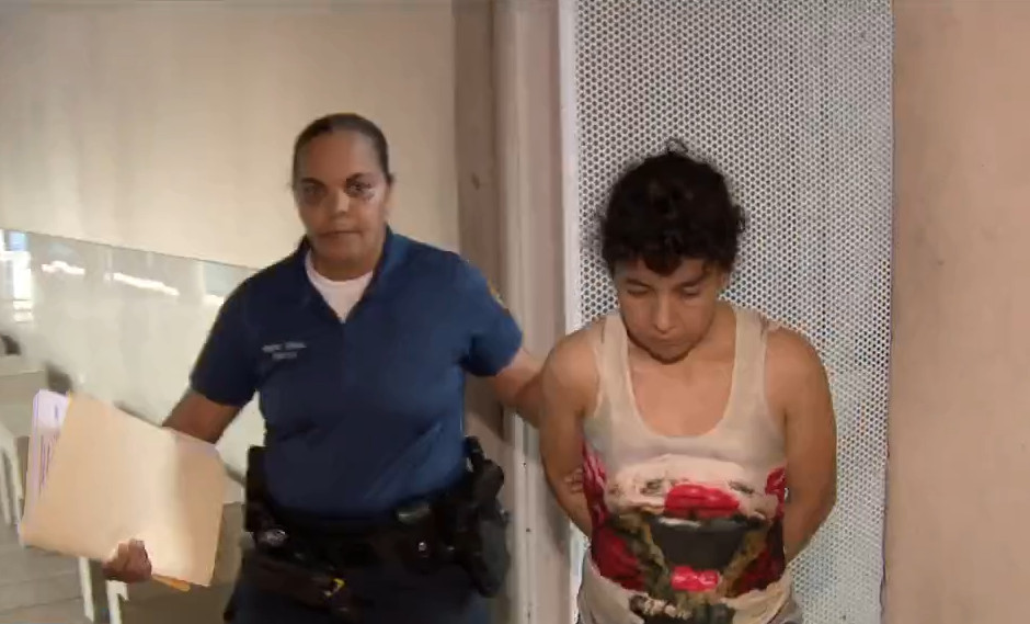 Video: Radican cargos contra pareja imputada de mantener a menor y perros en condiciones deplorables en Caguas