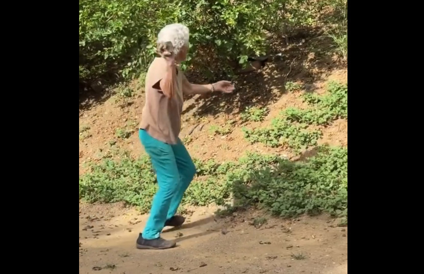 Video en PR: Vea cómo la abuela "achueca" a Iguana