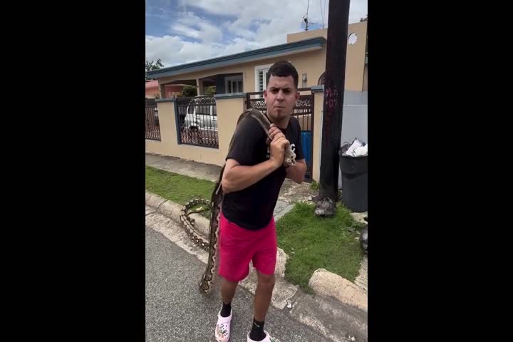 Video: Ahora sí, Gongo captura la más grande hasta ahora en PR