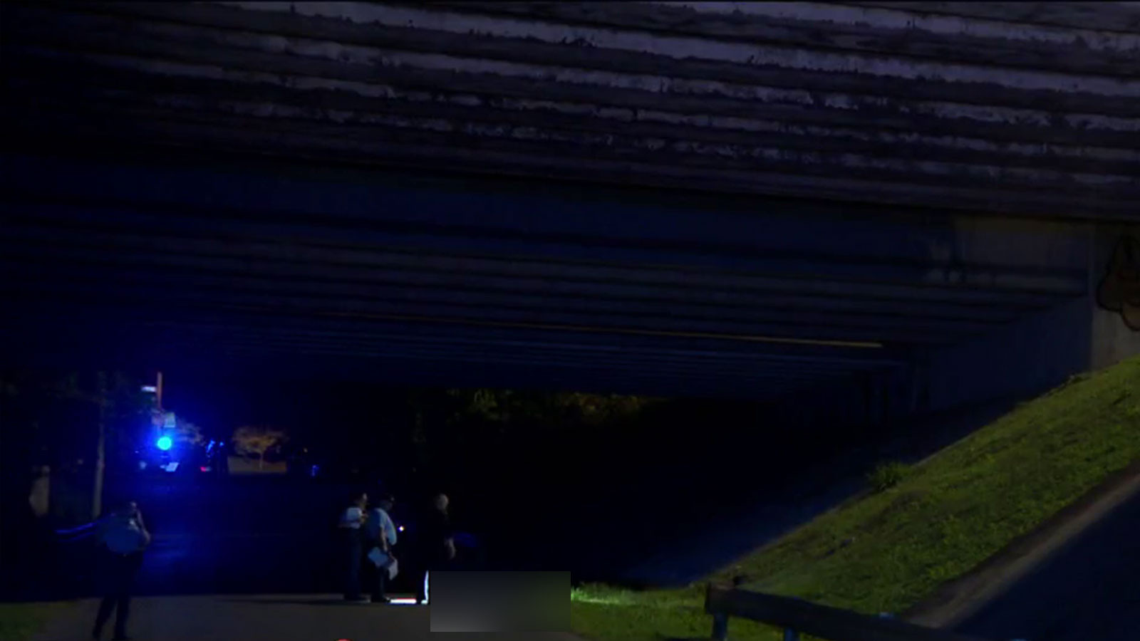 Video:Hallan hombre asesinado a tiros debajo del expreso PR-52 en Cupey