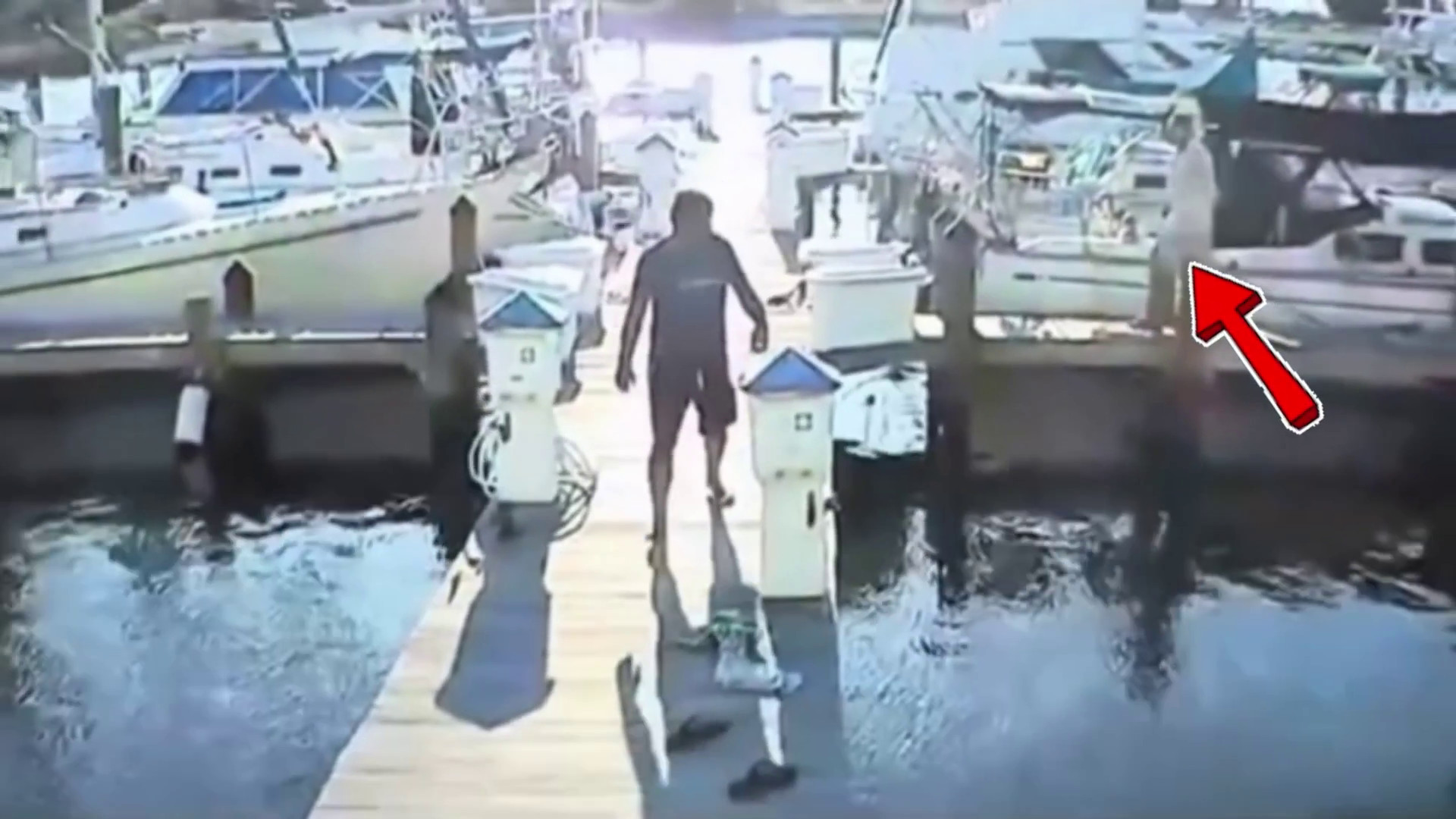 Video: Camara capta momento en que pelea de amigos termina con uno de ellos muerto en un muelle de Florida
