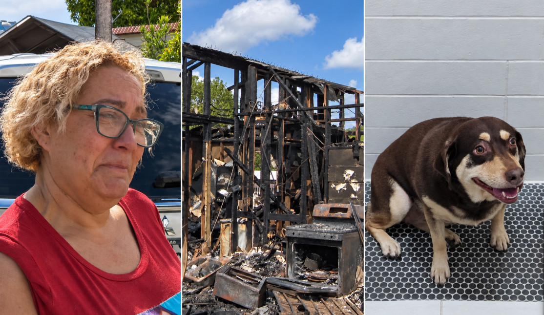 Video: Mujer pierde a su perrita y su hogar en incendio en Fajardo
