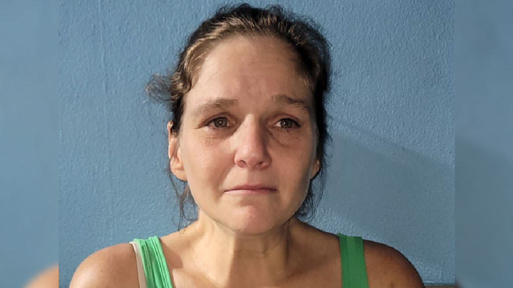 Video:Arrestan a mujer acusada de secuestro de menores en el estado de Massachussets
