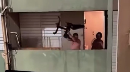 Video: Un día normal en el Caserío