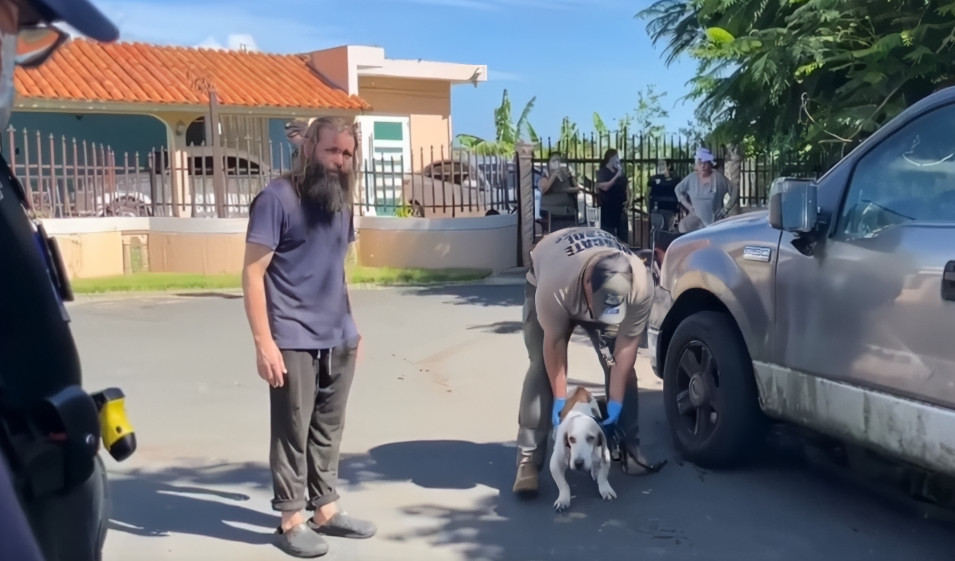 Video:Remueven a 25 perros de hogar en condiciones infrahumanas en Las Piedras