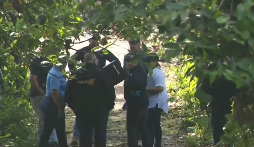 Video: Matan a pareja y prenden fuego a residencia en Mayagüez