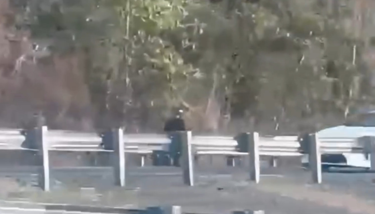 Video: Captan en video a un loquito en una motorita en contra del tránsito en el expreso de Cayey a Salinas