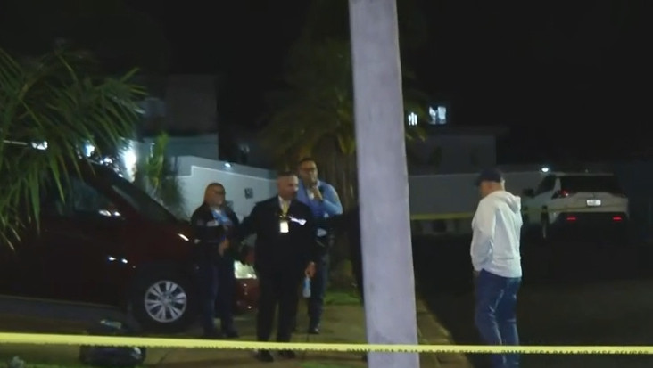 Video: Identifican a mujer que murió de un disparo en Vega Baja