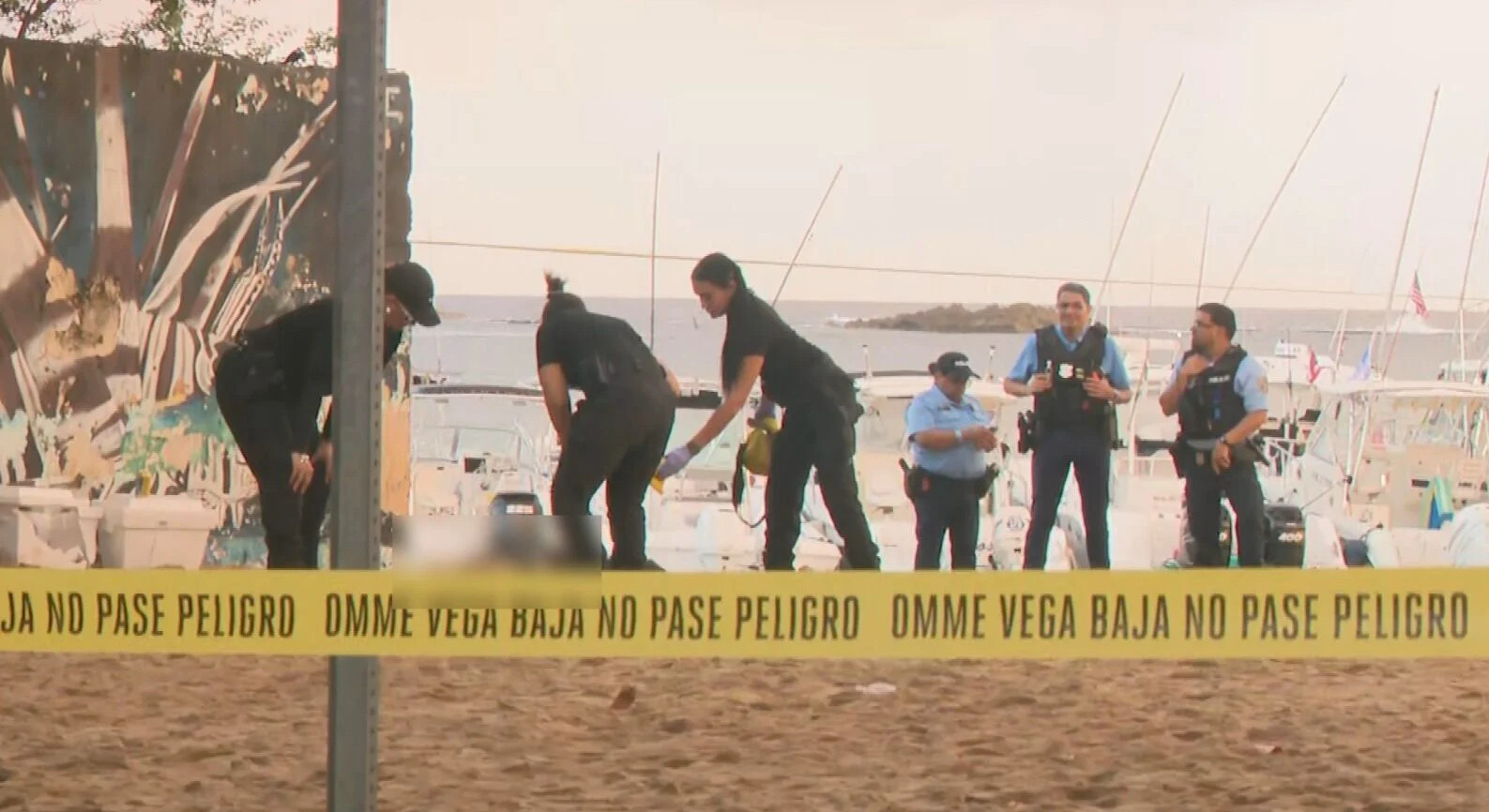 Video:Asesinan a joven de 22 años en playa de Vega Baja; celebraba la Noche de SJ