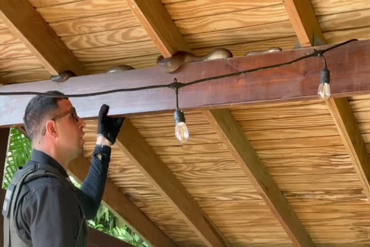 Video: Municipales de San Juan atrapan una serpiente en residencia de Caimito