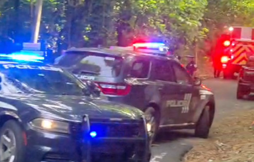 Video: Vídeo:Encuentran carro quemado con varios tiros en Morovis