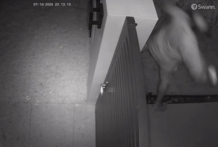 Video: Revelan vídeos de cámaras de seguridad durante juicio por asesinato de biólogo Roberto Viqueira